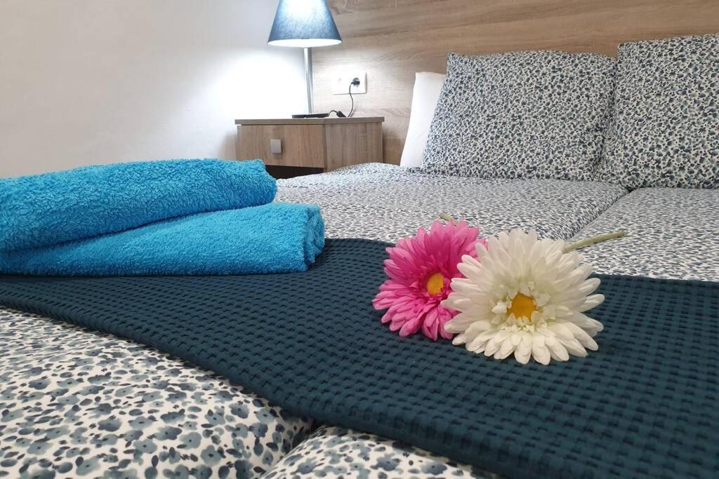 Apartamento Eucalipto Mozaga Dış mekan fotoğraf